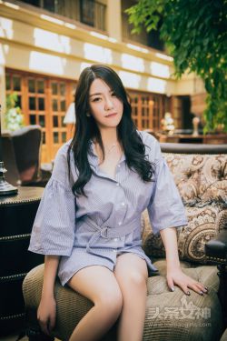 杀破狼在线观看 封面