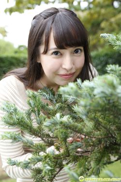 香格里拉 电视剧 封面